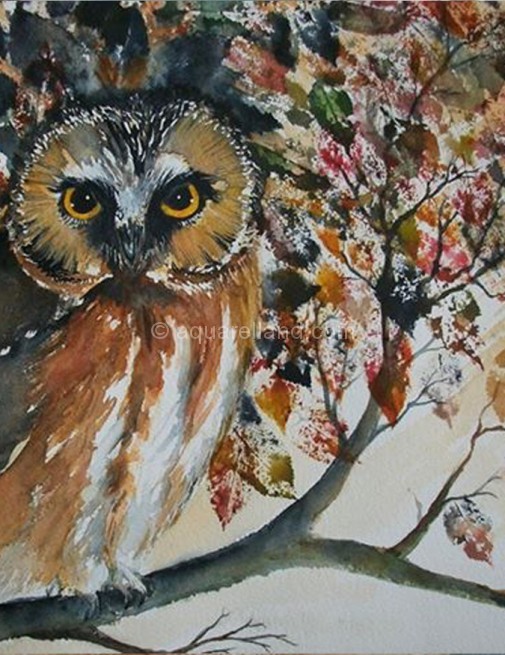 galerie_animaux_6