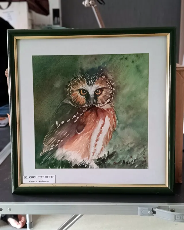 Aquarelle Chouette verte